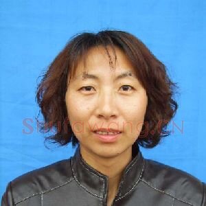 赵汝芹