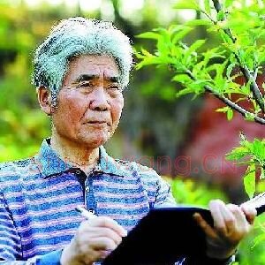 王征