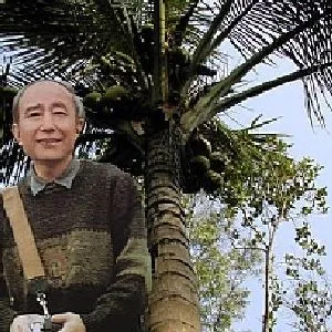 裘缉木