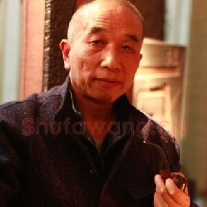 王亚平
