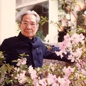 曾竹韶