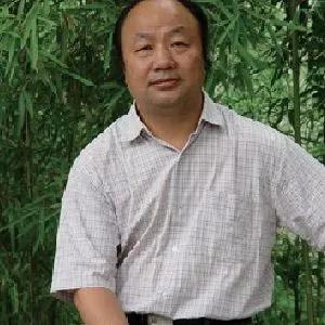王宏剑