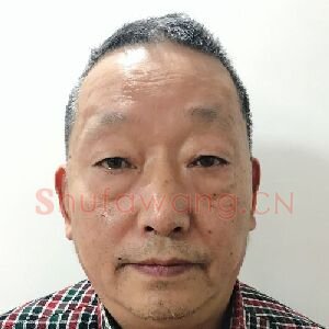 林传高