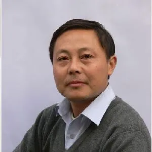 陈元强