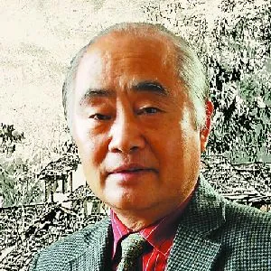 史国富