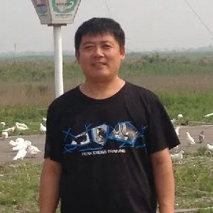 张波