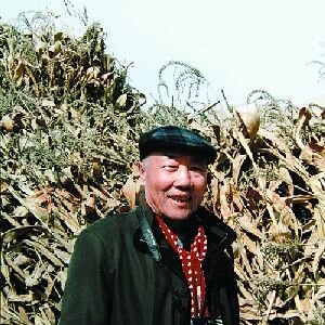 李宝峰