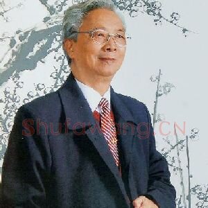 傅梅影