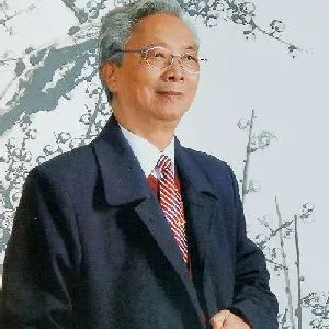 傅梅影