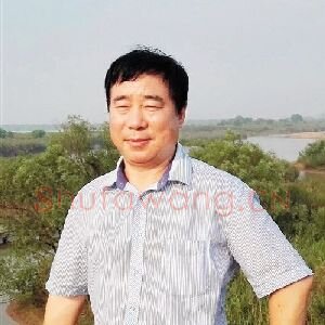 林维