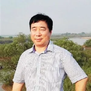 林维