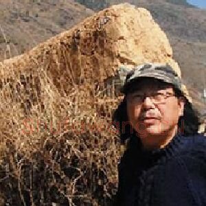 周晓冰