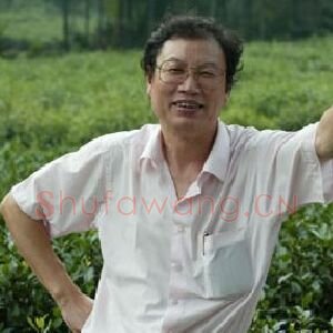 闵学林
