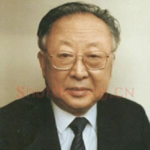 魏启后
