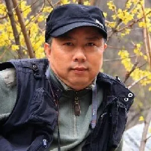 王礼