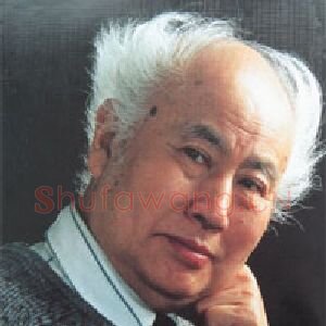 张鹤云