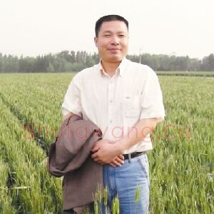 金增友