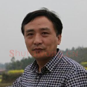 周海歌