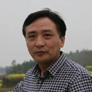 周海歌