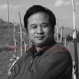 王继平