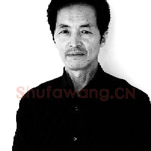 杨天问