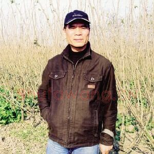 曾成金