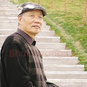 齐辛民