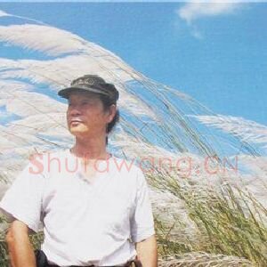 王韶悌
