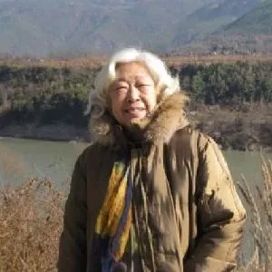 朱琴葆