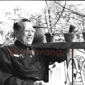 刘铁华