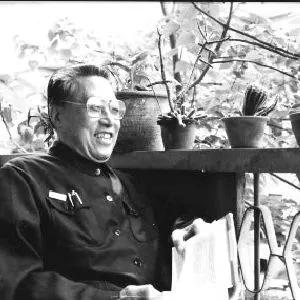 刘铁华