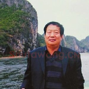 雍进成