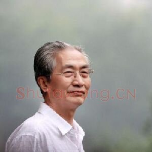 丁宁原