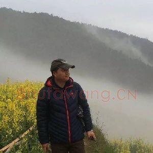 杨亚杰