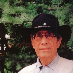 胡若思