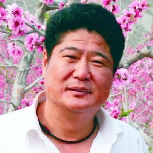 王悲秋