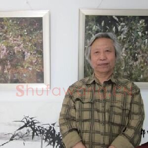 曾抒嘉