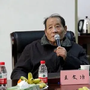 王文治