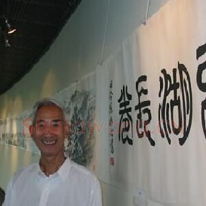 陈冰心