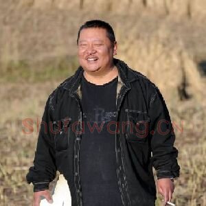 孙晋青