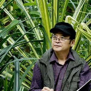 李连儒