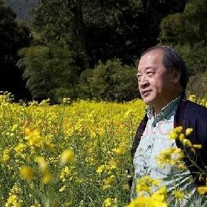 王书平