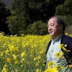 王书平