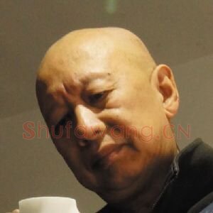 张沈