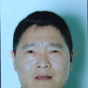 赵羽