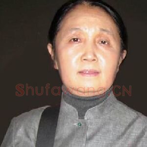 黄素宁