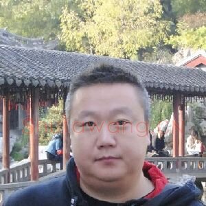 杨大禹