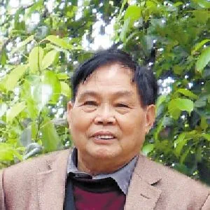 贺宣华