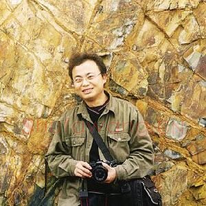 陈文利
