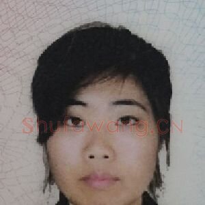 董晓丽